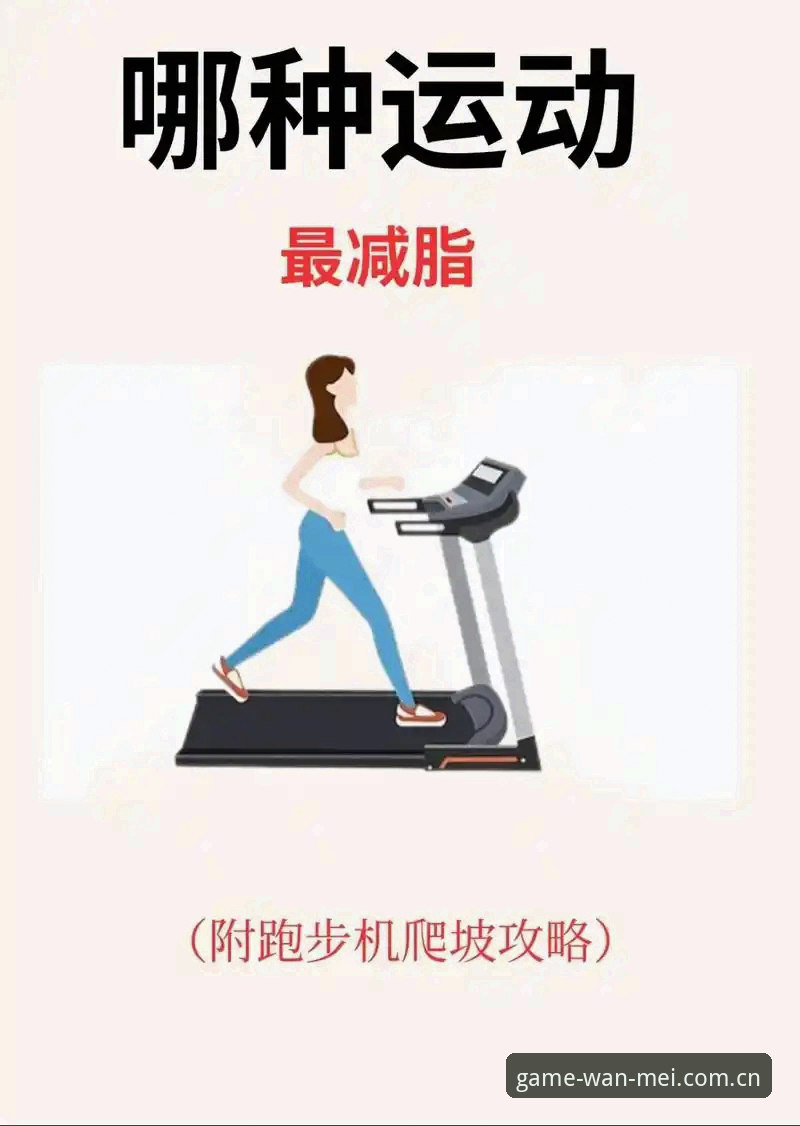 完美体育平台登录指南最新动态：新手也能快速上手的操作全攻略